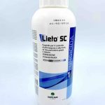 Lieto Sc 1Lt