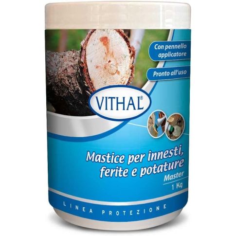 MASTICE VITHAL Mastice per Innesti, Ferite e Potature 1Kg - immagine 1