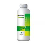 Revolution 1Lt