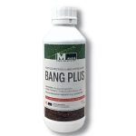 Bang Plus 1Lt