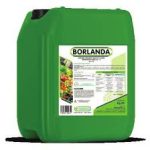 Borlanda 3-0-6 – Concime Organico Liquido Biologico con Azoto e Potassio per Piante Sane e Produttive 25 Kg