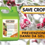 Save Crop 5Lt | Potenziatore Naturale per Piante Contro Stress e Malattie