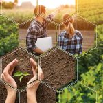 Consulenza Tecnica Agronomica Professionale – Assistenza per Aziende Agricole e Coltivatori