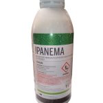 IPANEMA – Erbicida Mais Post-Emergenza | Controllo Graminacee e Dicotiledoni