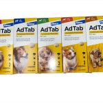Ad Tab Compresse Antiparassitarie per Cani | Efficaci contro Pulci e Zecche
