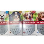 Advantix Cane