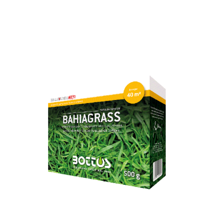 Bottos Bahiagrass 500 g – Sementi per Prato Macroterme Resistenti al Caldo e alla Siccità