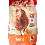 Mangime Ovaiole Ovomio Farina Mignini 25 Kg – Alta Produzione Uova e Benessere Galline