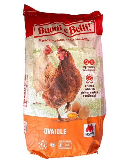 Mangime Ovaiole Ovomio Farina Mignini 25 Kg – Alta Produzione Uova e Benessere Galline
