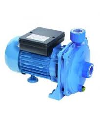 Elettropompa Centrifuga EC 550 Excel  – Potente, Compatta e Affidabile per Irrigazione e Giardinaggio