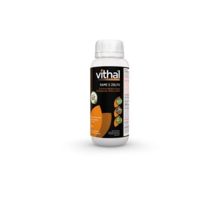 VITHAL Expert Rame e Zolfo LT.1 – Concime Fogliare Liquido per Orto, Frutteto e Vite