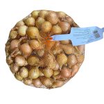 Cipolla Gigante di Stoccarda – Bulbi Grandi, Croccanti e ad Alta Conservabilità cal. 21/24 kg. 1