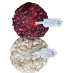 Cipolla Bianca e Rossa – Bulbi Tondi, Croccanti e di Alta Qualità per Orto e Cucina Cal. 14/21 Gr. 500
