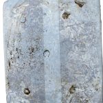 Balla di Fungo Pleurotus – Coltivazione domestica del fungo orecchione