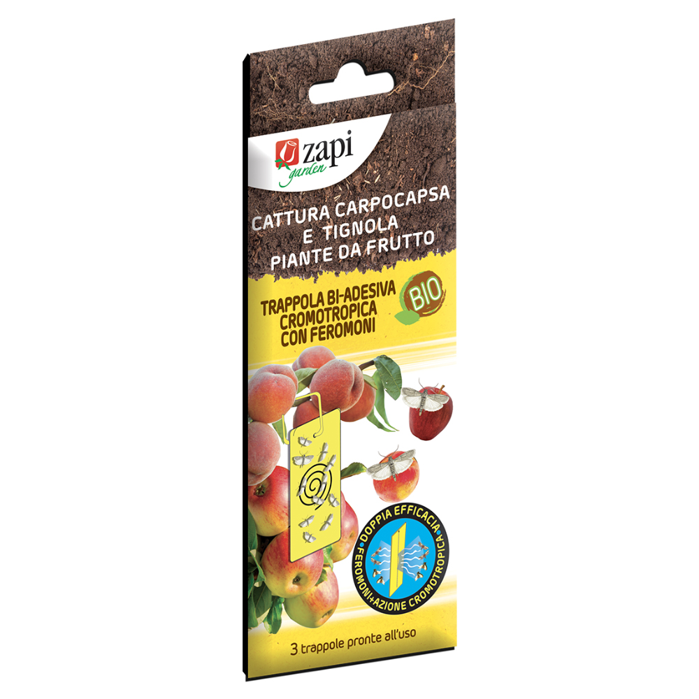 trappola cromonotr. 3 pz  mosca olivo Trappola Bi-Adesiva Cromotropica per Carpocapsa e Tignola dei Fruttiferi – 3 Pezzi – Monitoraggio Biologico per Melo e Pesco - immagine 1