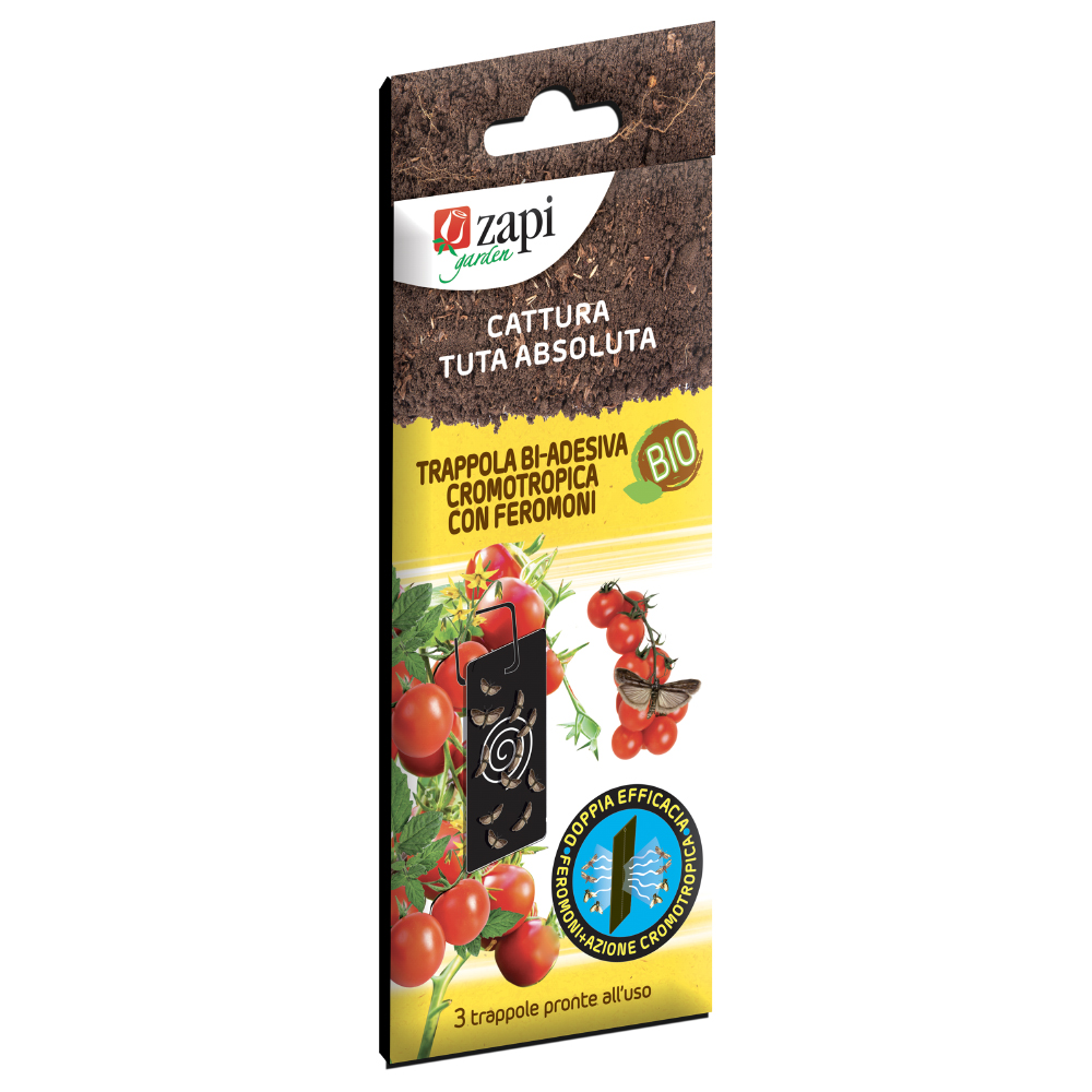 trappola cromonotr. 3 pz  mosca olivo Trappola Bi-Adesiva Cromotropica per Pomodoro Tuta Absoluta – 3 Pezzi – Controllo Biologico e Monitoraggio Professionale - immagine 1